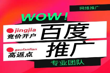 百度推广案例：助力企业飞速发展的秘诀